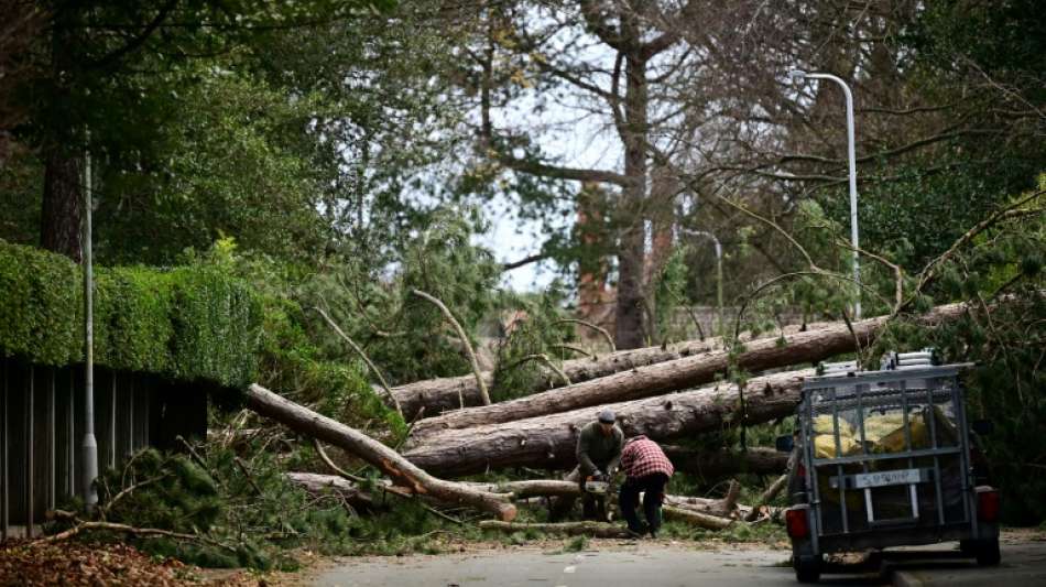Zehntausende Haushalte nach Sturm in Gro&szlig;britannien weiter ohne Strom