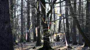 Protestcamp am Hambacher Forst muss ger&auml;umt werden