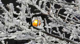 Frostiger April l&auml;sst Heizkosten steigen