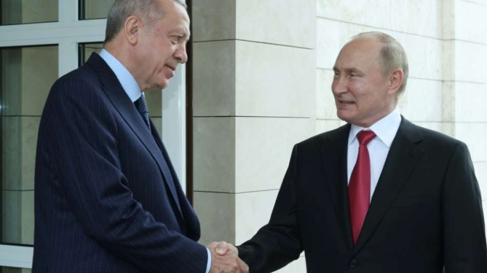 Erdogan und Putin beraten &uuml;ber gemeinsame R&uuml;stungsprojekte