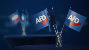AfD sagt f&uuml;r Dezember geplanten Bundesparteitag in Wiesbaden ab