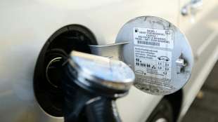 IW: Fast 15 Prozent des Diesels in Deutschland stammen aus Russland