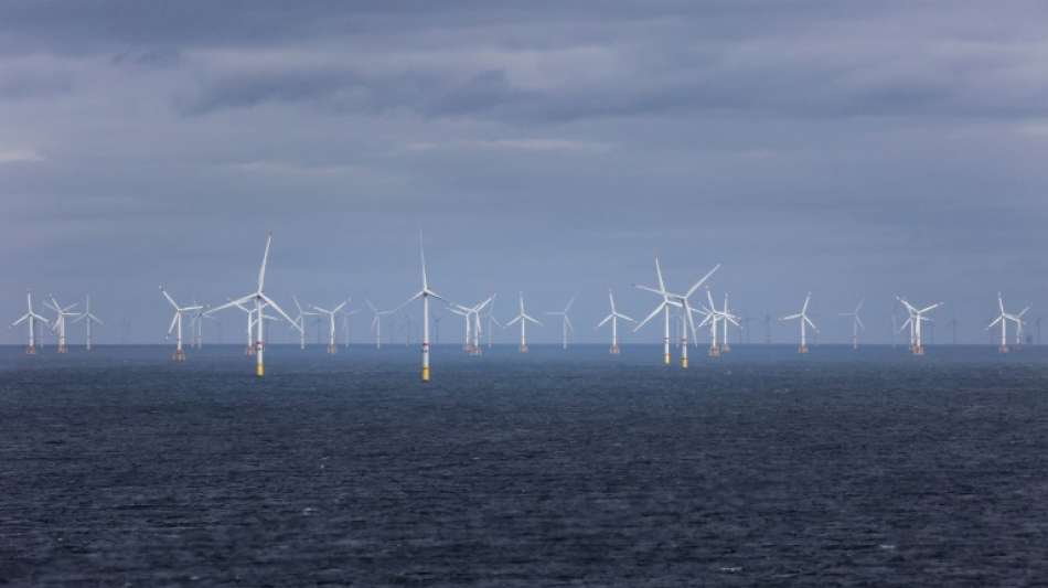 Deutschland bei Nutzung erneuerbarer Energien unter EU-Durchschnitt