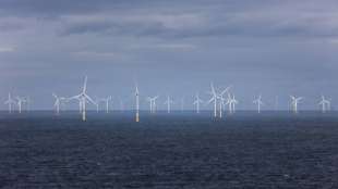 Deutschland bei Nutzung erneuerbarer Energien unter EU-Durchschnitt