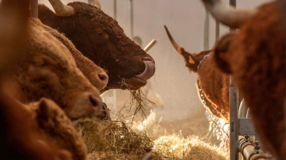 Milchindustrie warnt wegen hoher Kosten vor steigenden Preisen