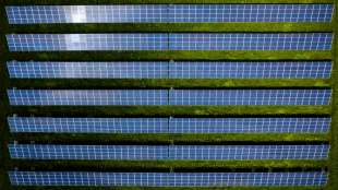 Verband: Zahlreiche Solaranlagen stehen ungenutzt auf dem Feld