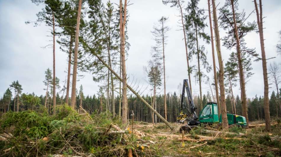 Erzeugerpreise f&uuml;r Rohholz erstmals seit 2015 gestiegen