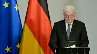 Steinmeier ruft zu Solidarit&auml;tsaktionen f&uuml;r Ukraine auf