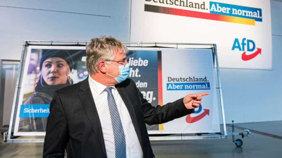 AfD-Parteitag ber&auml;t nicht &uuml;ber Antrag auf Abwahl Meuthens
