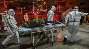 WHO-Mission zur Erkundung der Corona-Urspr&uuml;nge in Wuhan eingetroffen 