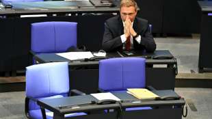 Lindner f&uuml;r Steuersenkungen ohne anf&auml;ngliche Gegenfinanzierung