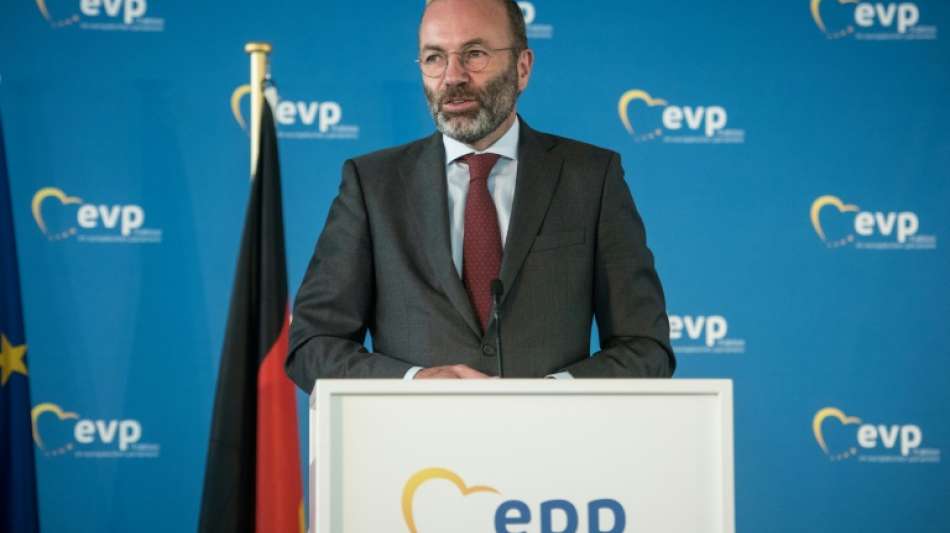 EVP-Vorsitzender fordert europ&auml;isches FBI im Kampf gegen Steuervermeidung
