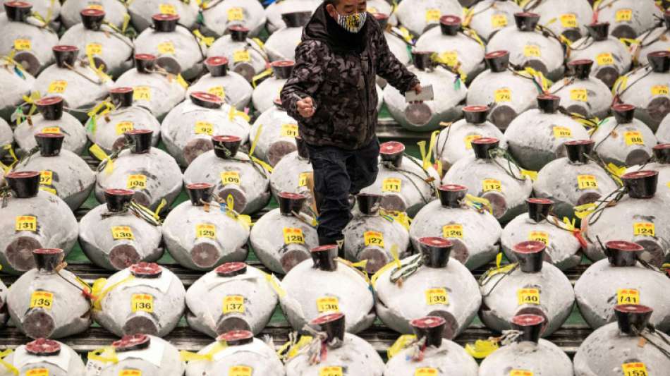 Thunfisch-K&ouml;nig ersteigert bei j&auml;hrlicher Auktion in Tokio nicht teuersten Fisch