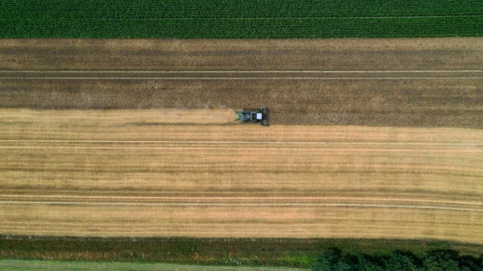 Umweltministerin Schulze will Naturschutz-Vorhaben von Landwirten gezielter f&ouml;rdern