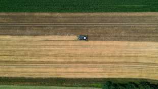 Umweltministerin Schulze will Landwirte gezielter beim Naturschutz unterst&uuml;tzen