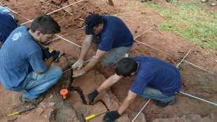 Forscher in Brasilien entdecken neue Dinosaurierart 