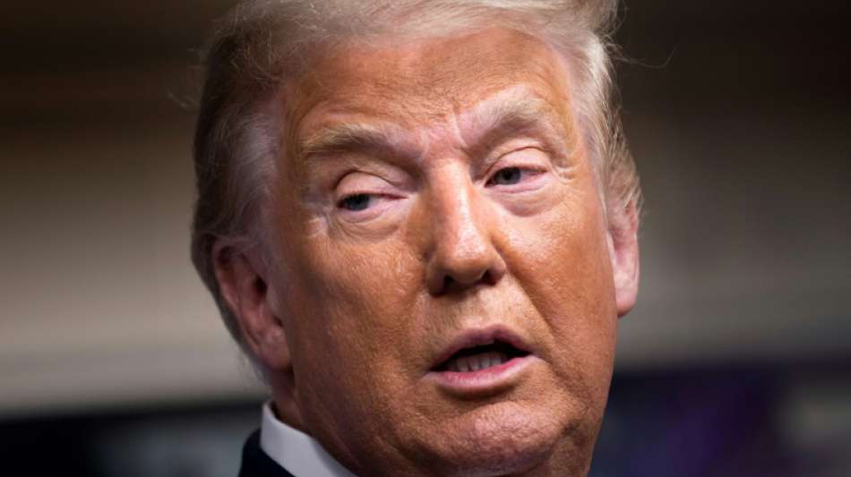 Schlussabstimmung in Impeachment-Prozess gegen Trump begonnen