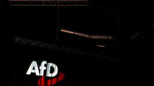 Verfassungsschutz stuft AfD als Rechtsextremismus-Verdachtsfall ein