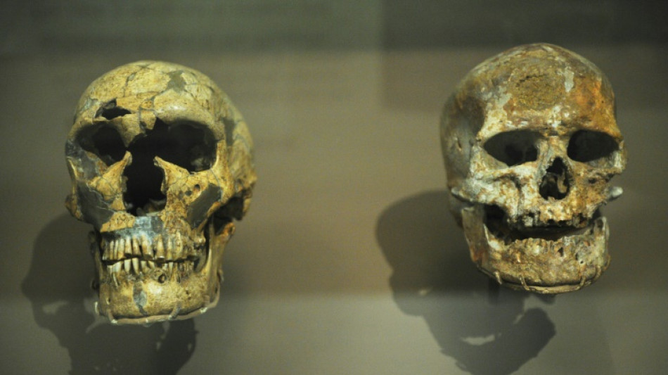 Un hueso de homo sapiens encontrado en una cueva de neandertales