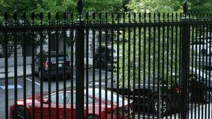 Trump plant keine Aussprache mit Musk und pr&uuml;ft Tesla-Verkauf 