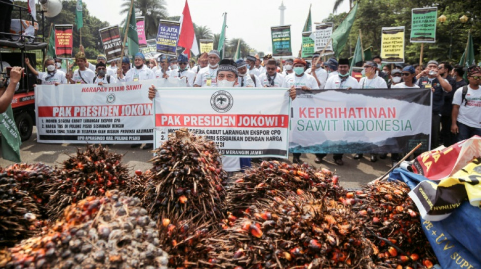 Indonesia va a autorizar la reanudaci&oacute;n de las exportaciones de aceite de palma