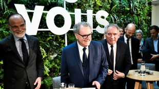 L&eacute;gislatives: liste de la majorit&eacute; bient&ocirc;t boucl&eacute;e, photo de famille et team building