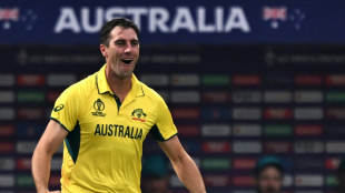 Cummins urges Australia to 'embrace' India crowd challenge in World Cup final