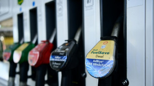 Kartellamtspr&auml;sident d&auml;mpft Erwartung an rasche Entscheidungen bei bei Spritpreisen