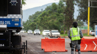 M&eacute;xico detiene a 12 personas por extorsi&oacute;n a aguacateros tras el veto comercial de EEUU