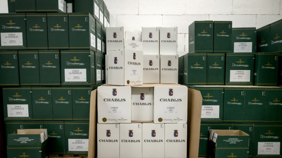 La UE presenta un paquete de medidas en respaldo al sector vinícola