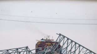 La r&eacute;ouverture du port de Baltimore prendra du temps apr&egrave;s l'effondrement du pont