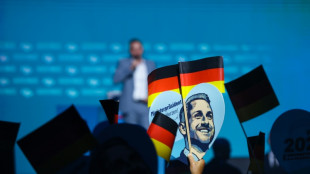 Victoria de la ultraderecha en elecciones regionales presiona al canciller alem&aacute;n Merz