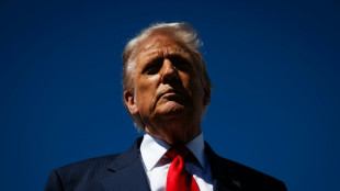 Trump: Razzien der Einwanderungsbeh&ouml;rde ICE gehen "nicht weit genug"