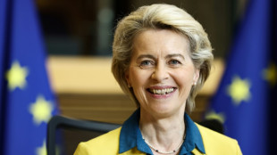 La Comisi&oacute;n Europea es favorable a un estatuto de candidato a la UE de Ucrania