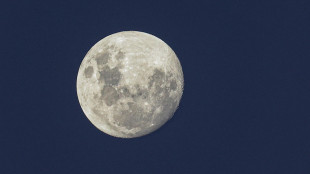 &Egrave; simile alla Luna la super-Terra osservata dal telescopio Webb