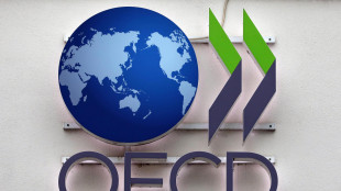 Ocse, Pil G20 +0,9% nel secondo trimestre, Italia -0,1%