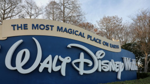 Trabajador de Disney frena roca de goma de 180 kilos en parque tem&aacute;tico en EEUU