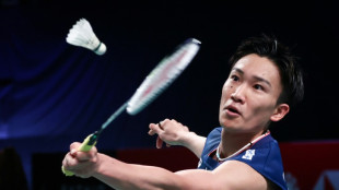 Ex-no.1 Momota wins first badminton title in two years