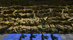 Brazilian police dog sniffs out 48 tons of marijuana in record bust