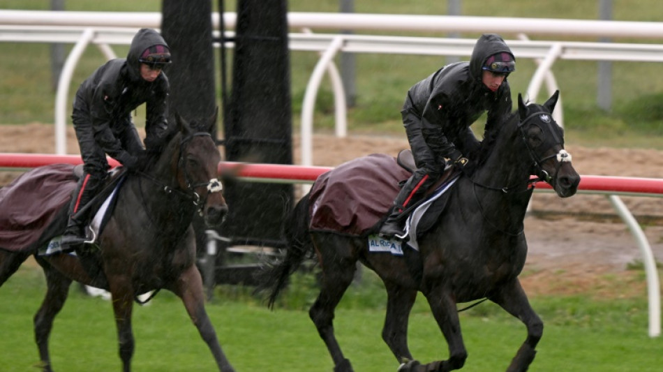 Half Yours favourite at Australia's 'race that stops a nation'