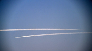Climat: Londres et Google vont tester l'&eacute;vitement des train&eacute;es de condensation d'avions 