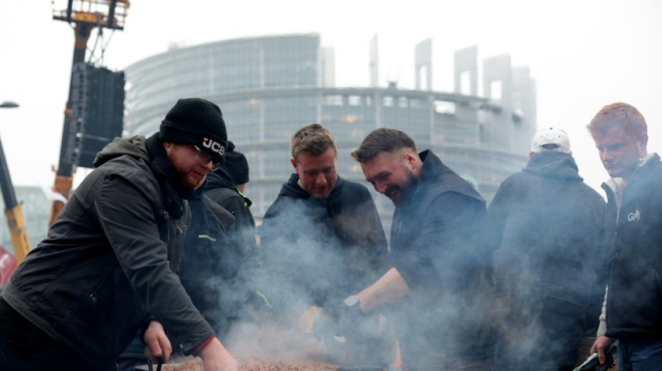 La Euroc&aacute;mara remite a la justicia europea el acuerdo con el Mercosur