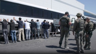 South Korea sends plane to fetch detained workers from US