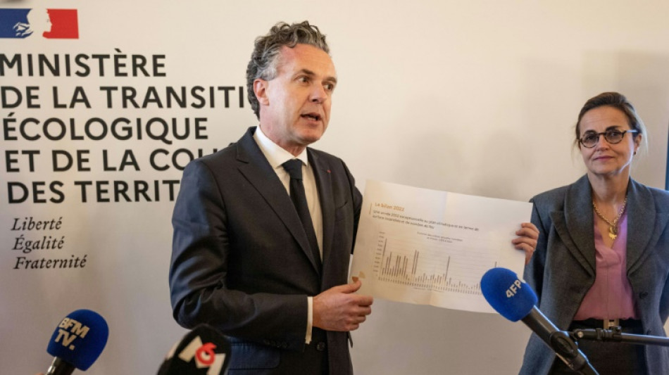 Contre les incendies, une "m&eacute;t&eacute;o des for&ecirc;ts" quotidienne diffus&eacute;e &agrave; partir de juin