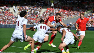 North hits Welsh milestone in World Cup quarter against Argentina
