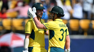 Warner, Head hit rapid World Cup fifties against New Zealand