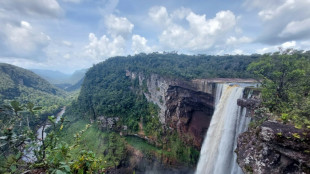 Guiana pode recorrer a Conselho de Seguran&ccedil;a da ONU se disputa com Venezuela escalar