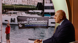 Crosetto, rischi incidenti con Idf per alto numero navi Flotilla