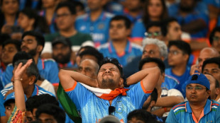 'Let me sleep': India fans heartbroken after World Cup defeat
