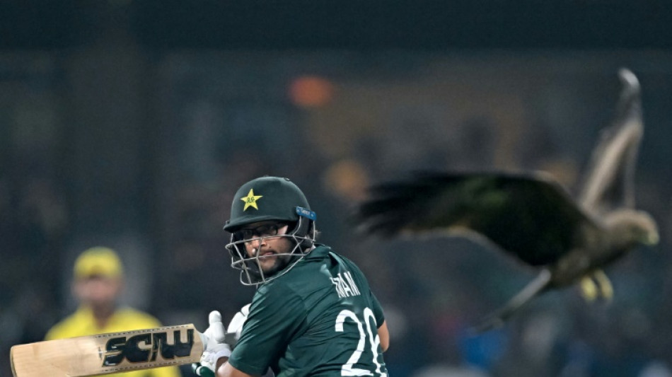 Pakistan inspired by Anwar's Chennai magic at World Cup